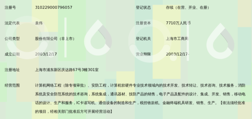 上海新虹伟信息科技股份